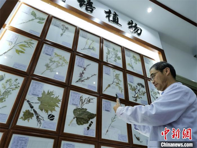 青海首次设立藏医药浴、中医肺病等专科联盟1.jpg